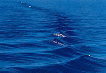Вода. Фото с сайта www.allgreece.ru