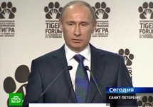Владимир Путин на Тигрином форуме. Кадр НТВ