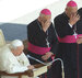 Папа и кардиналы на совещании в Ватикане. Фото AP