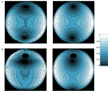 Контурные графики интенсивности поляризации, соответствующей определенным реальным картинам состояния небес. Для каждого из двух случаев левая картинка соответствует наблюдательным данным, а правая - это результат вычислений в соответствии с новой теорией. Изображение с сайта www.iop.org